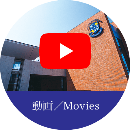 動画／Movies